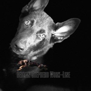 Meet your Posher, Carla